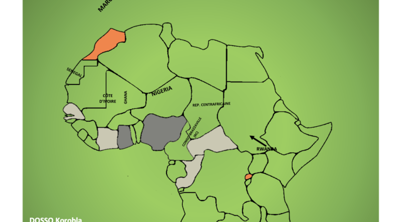 Affrontements économiques en Afrique subsaharienne